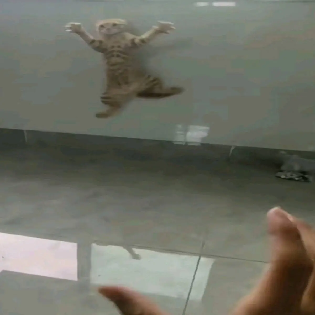 Александр Корышев | Сетка — социальная сеть от hh.ru