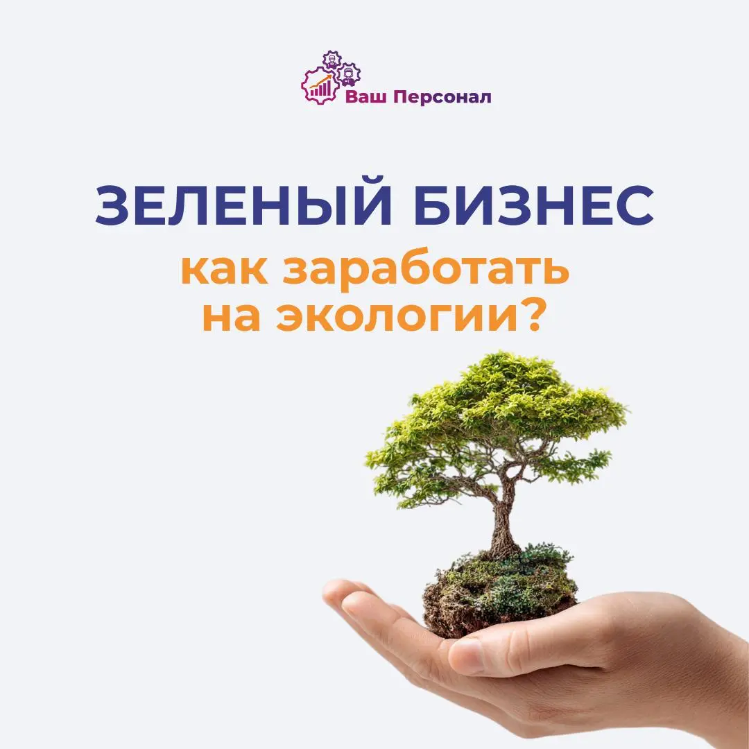 Зеленый бизнес: как заработать на экологии?🌿 | Сетка — социальная сеть от hh.ru