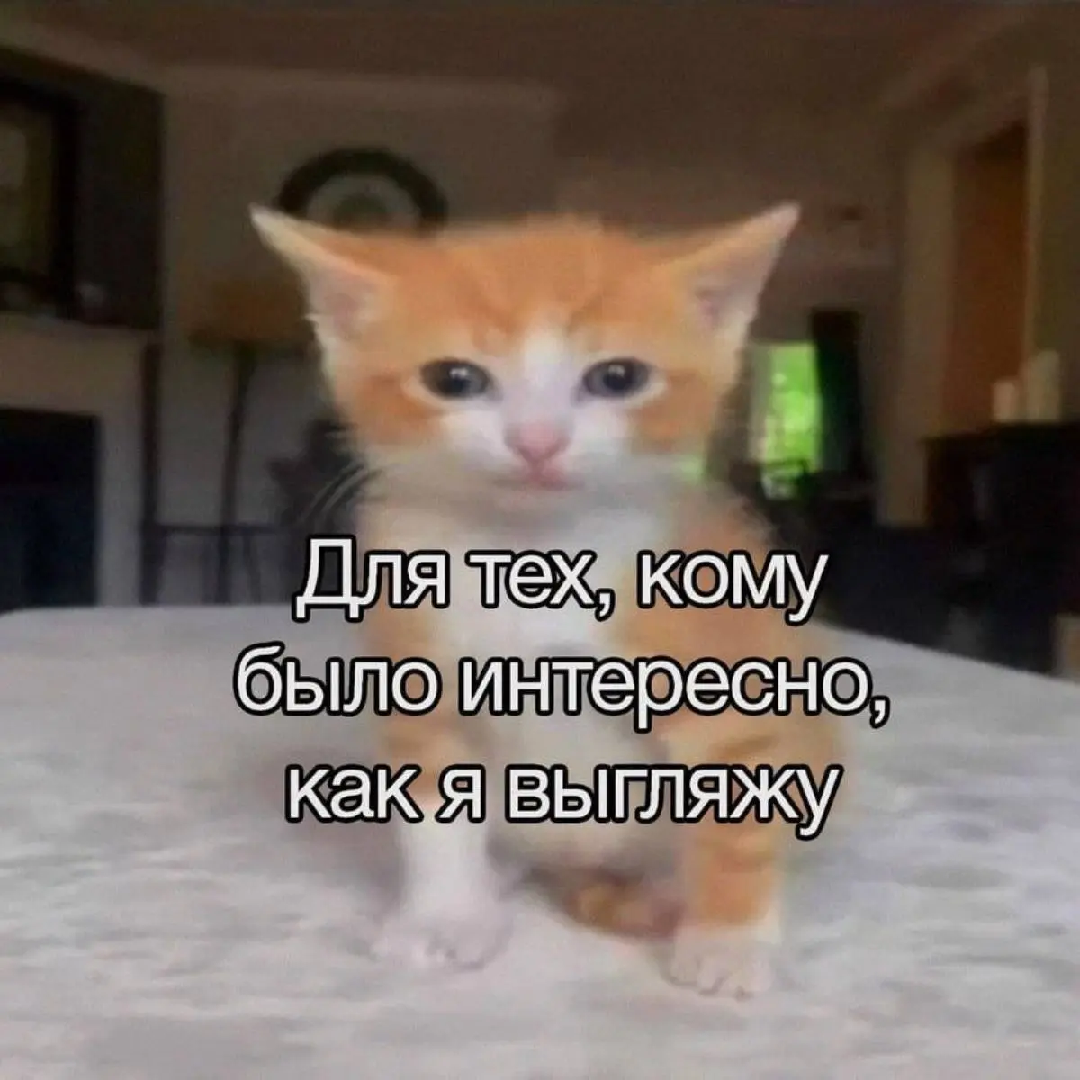 Роман Саликов | Сетка — социальная сеть от hh.ru