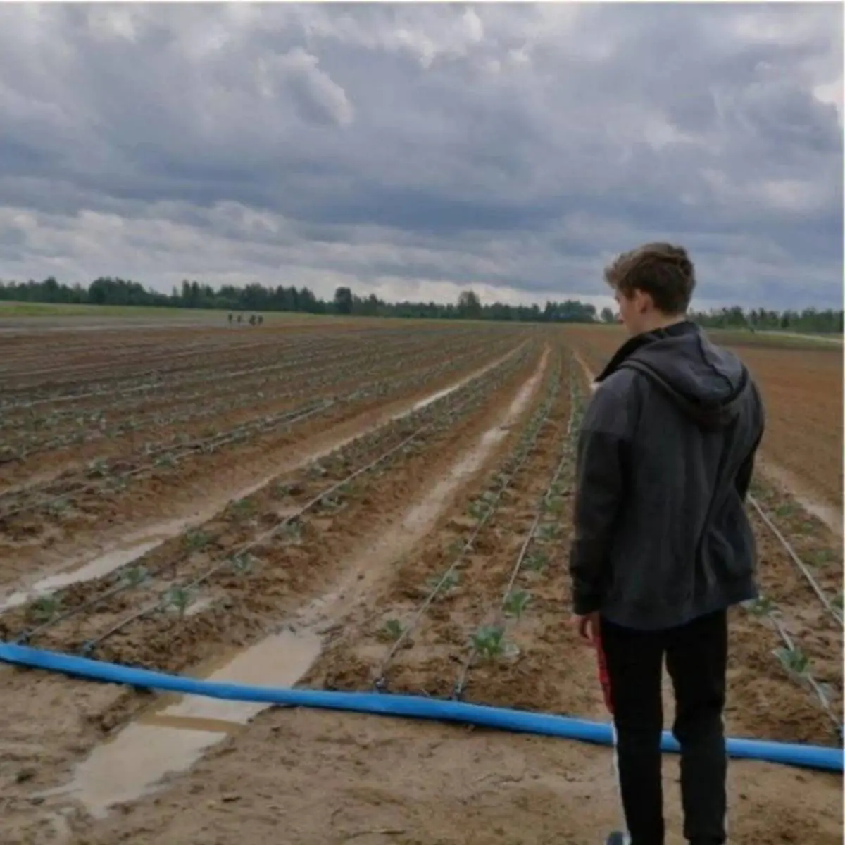 Артём Иванов | Сетка — социальная сеть от hh.ru