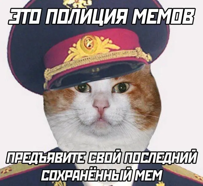 Граждане, предъявляем мемы | Сетка — социальная сеть от hh.ru