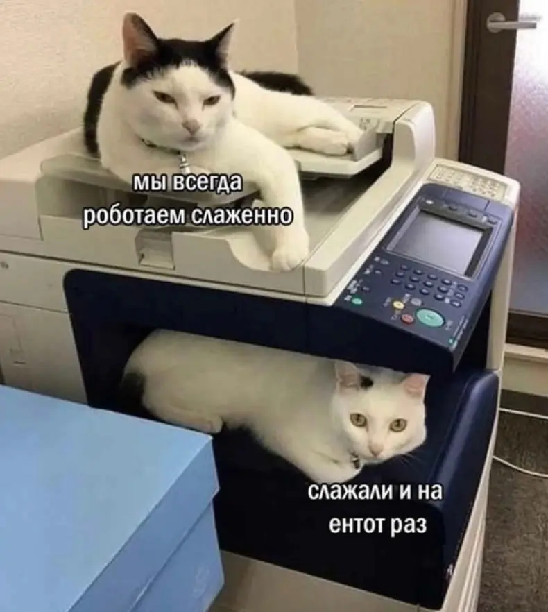 Премии нет, дедлайн вчера. Добро пожаловать в НКО! | Сетка — социальная сеть от hh.ru