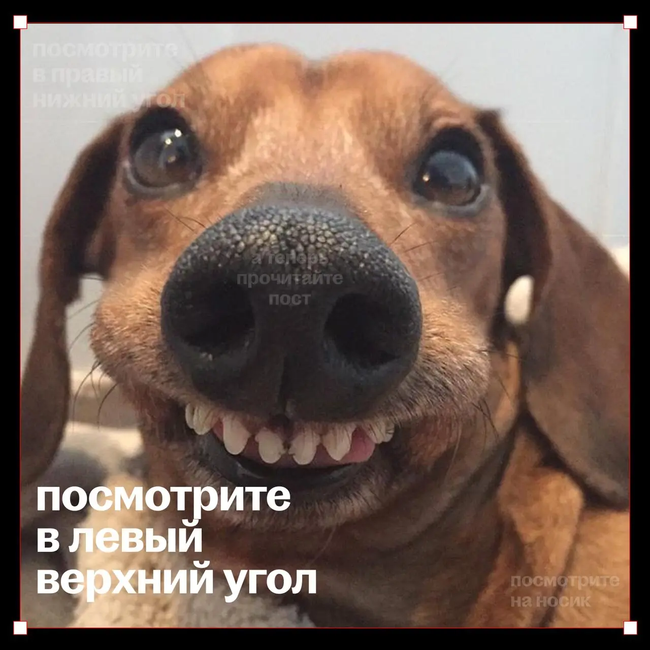 немного о том, как дизайн управляет вниманием
забайтили вас на разминку глаз нашей картинкой и сидим довольные
всё дело в расположении элементов и букв — оно влияет на восприятие визуальных историй
во... | Сетка — социальная сеть от hh.ru