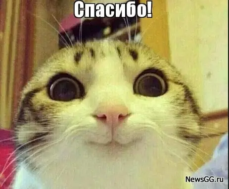 «Спасибо, вы классный рекрутер!» | Сетка — социальная сеть от hh.ru