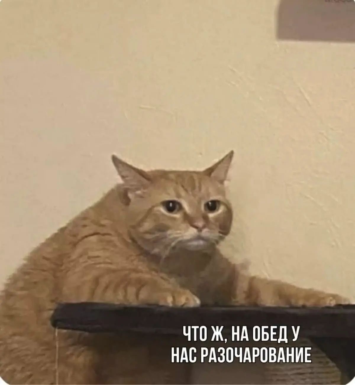 Игра на повышение | Сетка — социальная сеть от hh.ru