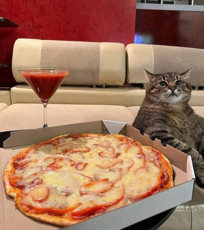 🍕 Сегодня празднуют День пиццы со всем подряд, кроме анчоусов
Перешлите тому, кто должен прямо сейчас заказать пиццу на ужин | Сетка — социальная сеть от hh.ru