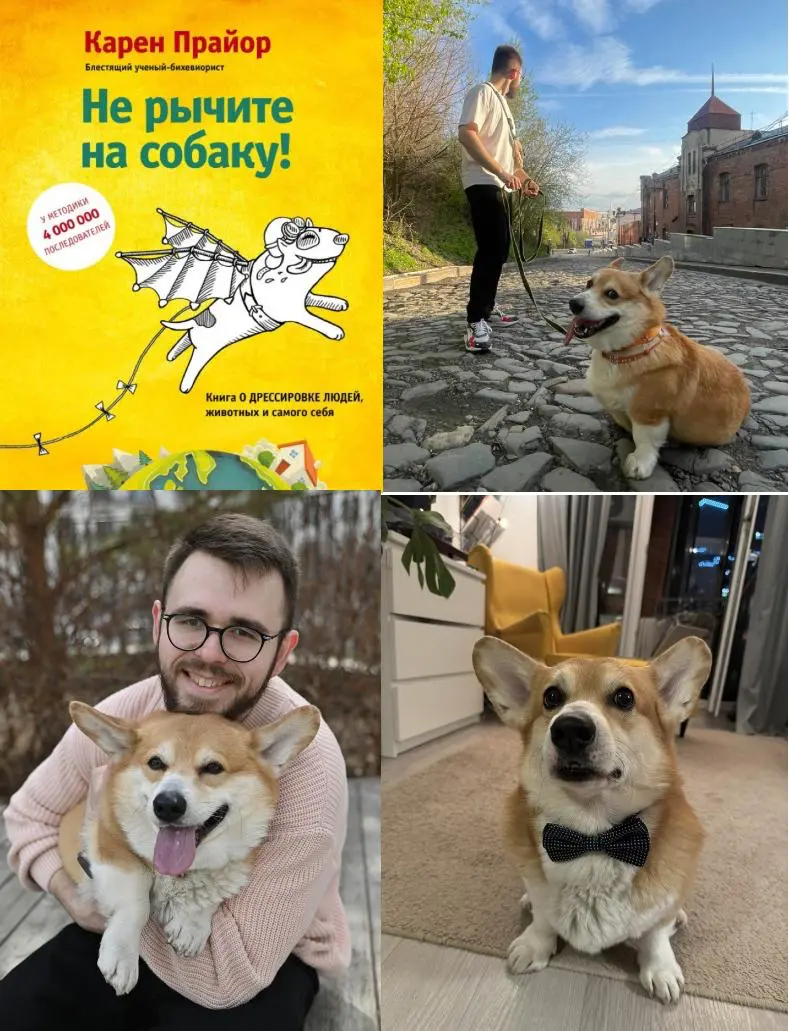 Знакомьтесь: Буня. "Не рычите на собаку" | Сетка — социальная сеть от hh.ru