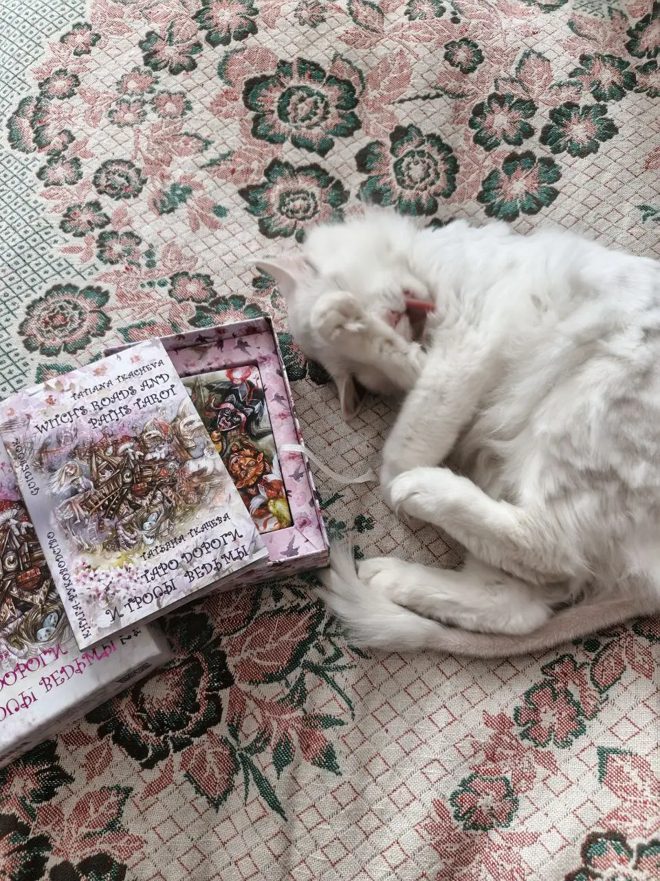 Помощнички мои 😸
Стоит достать колоду — и как будто по сигналу появляется один из котов.
Ляжет ровно туда, где должны быть карты, обязательно растянется, чтобы занять всё пространство | Сетка — социальная сеть от hh.ru