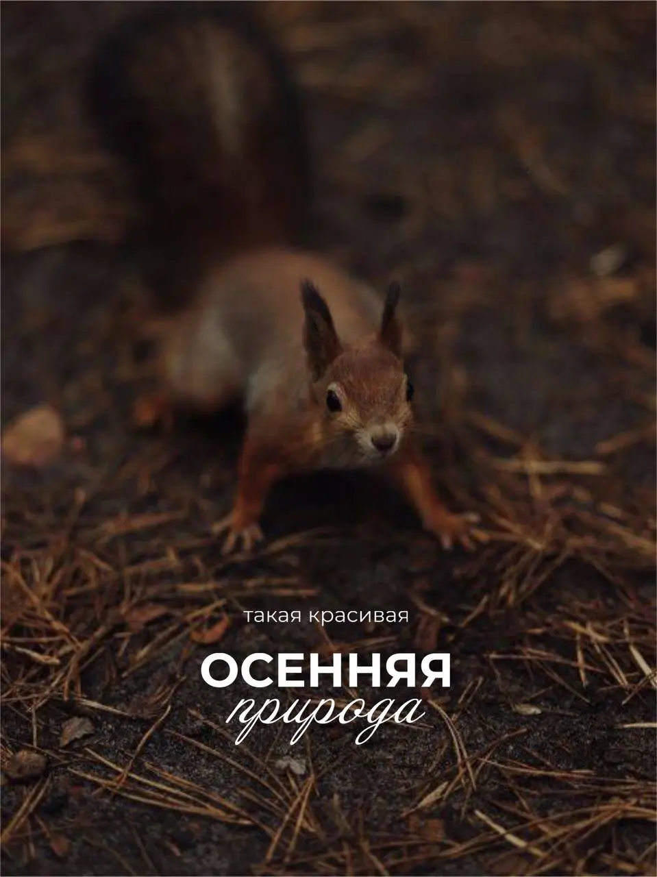 Главное успевать ее видеть) Желаю вам этого от всей души ❤️ | Сетка — социальная сеть от hh.ru