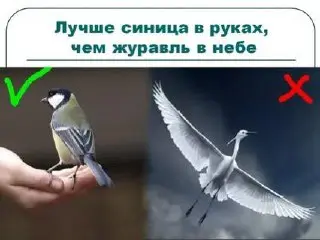 Доброе утро☀️
Как вы понимаете эту поговорку и согласны ли с ней? | Сетка — социальная сеть от hh.ru