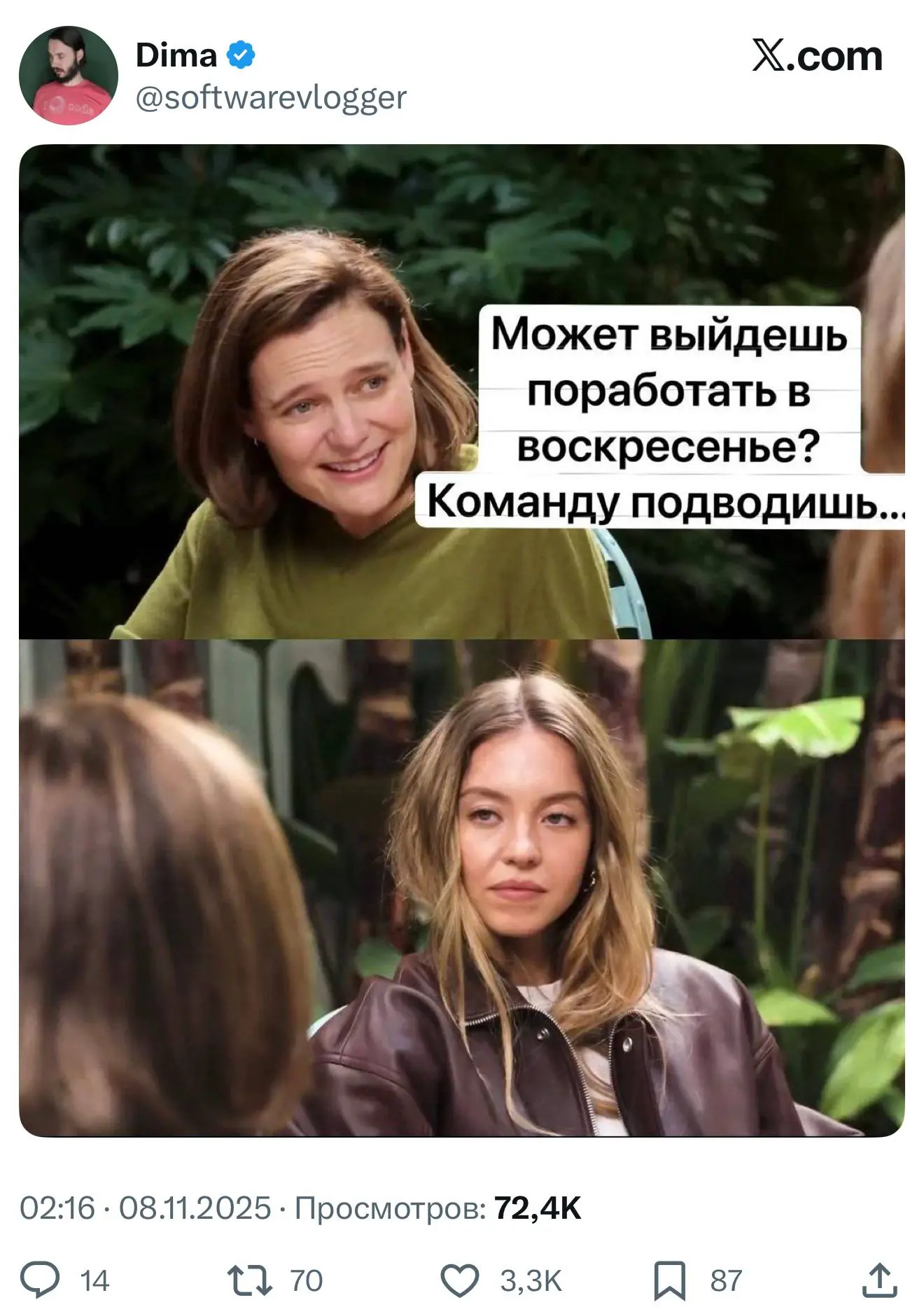 Все мы немного Сидни Суини | Сетка — социальная сеть от hh.ru