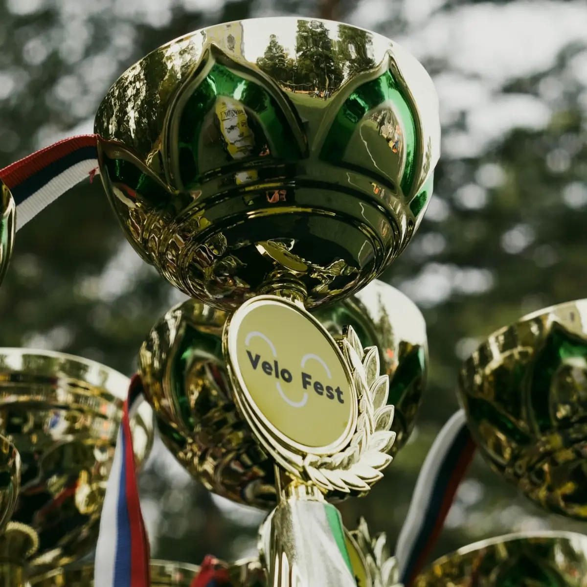 🚲 Логотип велофестиваля «Velo Fest» | Сетка — социальная сеть от hh.ru