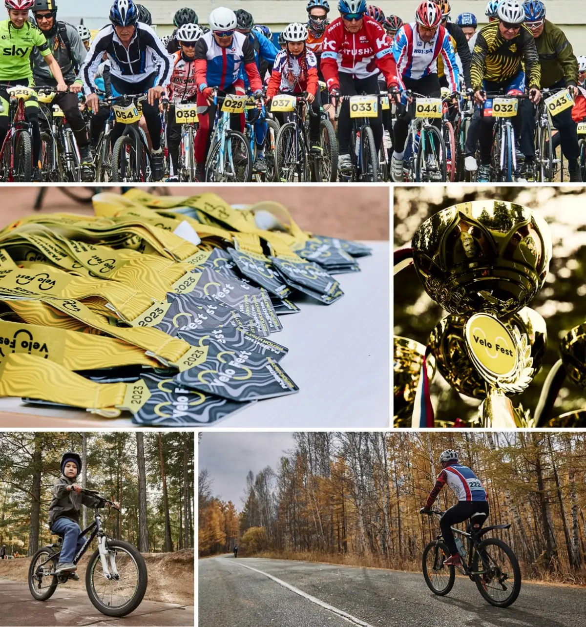 🚲 Логотип велофестиваля «Velo Fest» | Сетка — социальная сеть от hh.ru