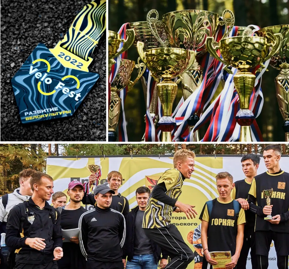 🚲 Логотип велофестиваля «Velo Fest» | Сетка — социальная сеть от hh.ru