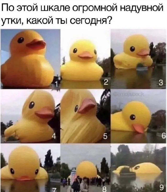 Сегодня четверг. А значит, что скоро выходные.
Расскажите, как вы?
И оцените свое состояние «утки». Делитесь в комментариях, можно просто цифру ☺️ | Сетка — социальная сеть от hh.ru