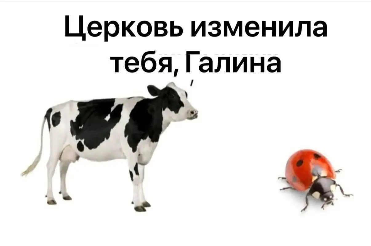 SEO в тг-канале: анализирую свои ошибки
Вчера выяснилось, что я немного сапожник без сапог или коровка Галина: подруга пыталась найти у меня в канале ссылку на Ютуб, но я ее слишком хорошо спрятала | Сетка — социальная сеть от hh.ru