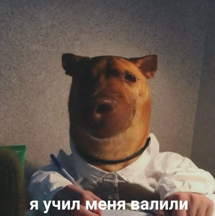 Терпеть не могу, где проверяют не меня, а словарь | Сетка — социальная сеть от hh.ru