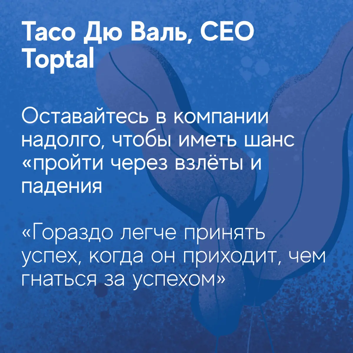 Карьерные советов от топ-менеджеров | Сетка — социальная сеть от hh.ru