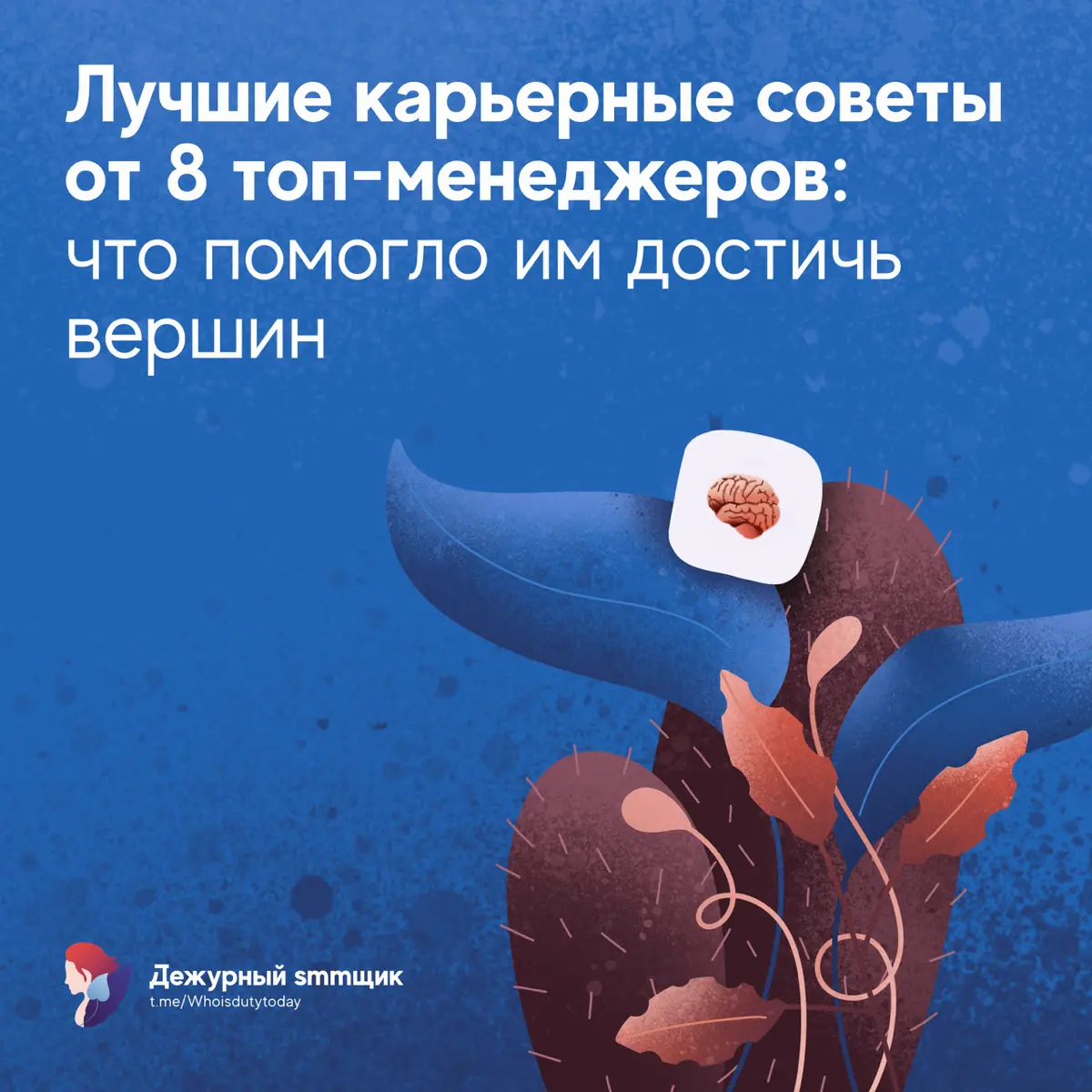 Карьерные советов от топ-менеджеров | Сетка — социальная сеть от hh.ru