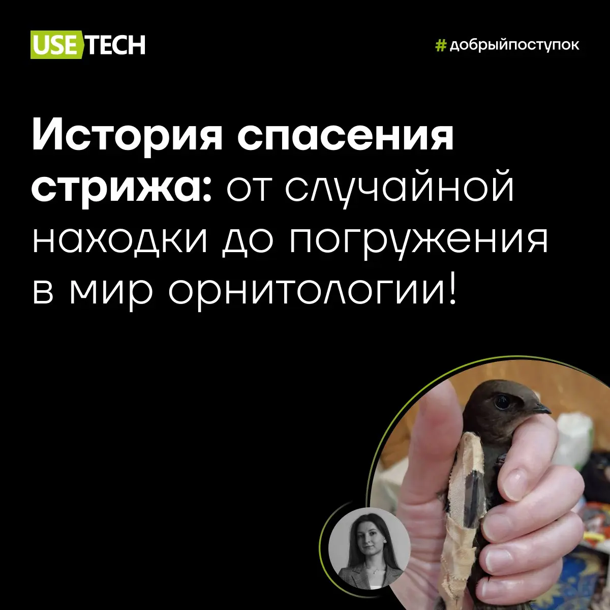❤️ История спасения стрижа: от случайной находки до погружения в мир орнитологии!
Мы часто делимся с вами экспертизой наших коллег, рассказываем о хобби и о том, как они начали свой путь в мир ИТ вмес... | Сетка — социальная сеть от hh.ru