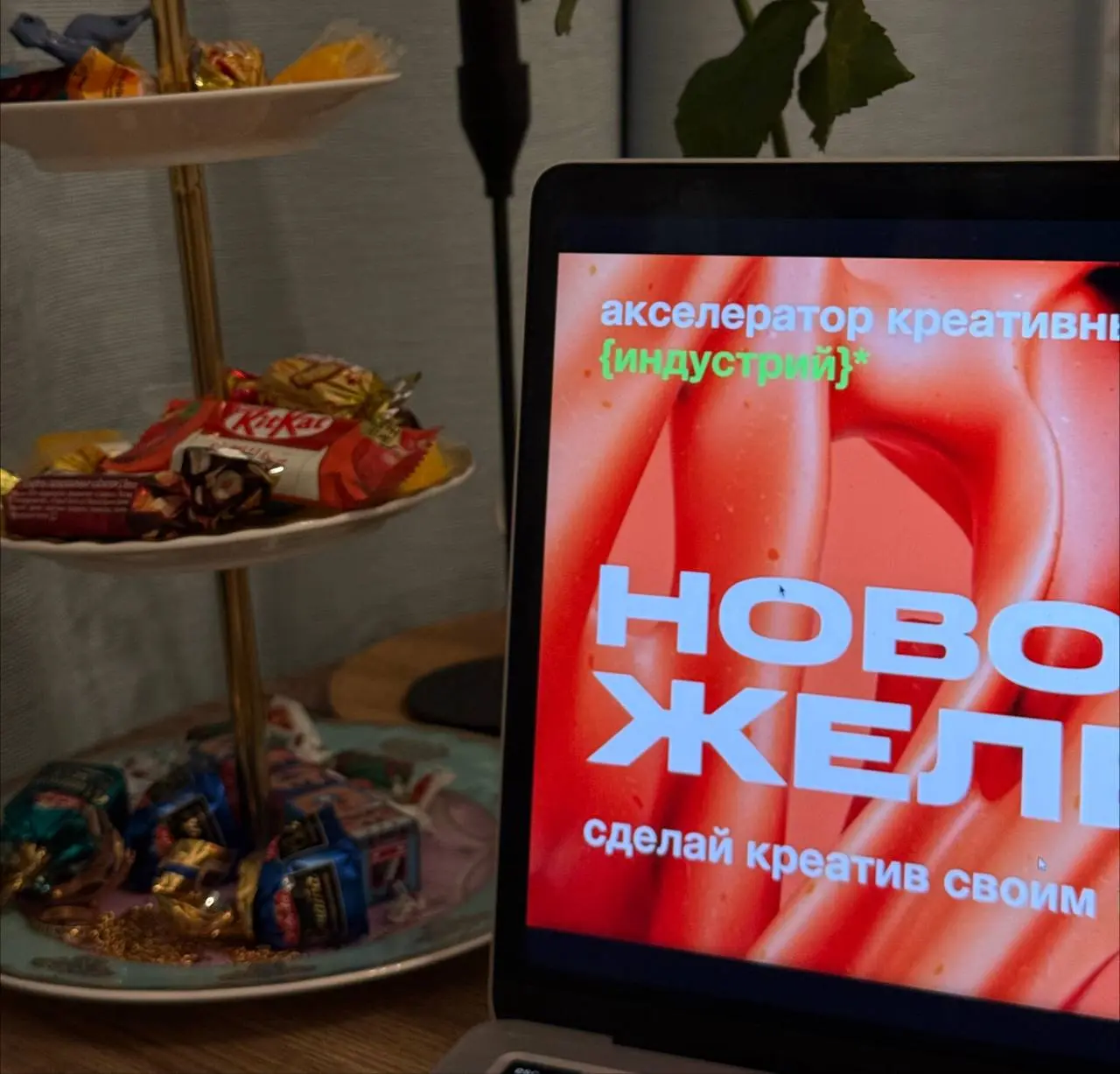 Сегодня провела последнюю лекцию на акселераторе и я в любвииииии! 😭❤️ | Сетка — социальная сеть от hh.ru