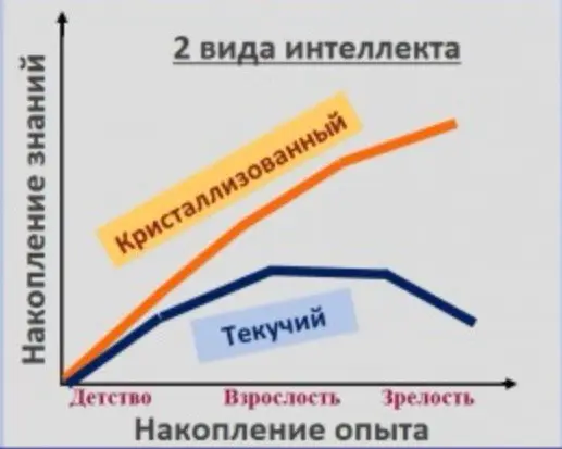 Правда ли, что с возрастом мы хуже обучаемся? | Сетка — социальная сеть от hh.ru