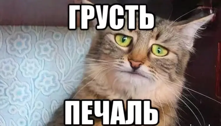 Отклик, письмо, отказ | Сетка — социальная сеть от hh.ru