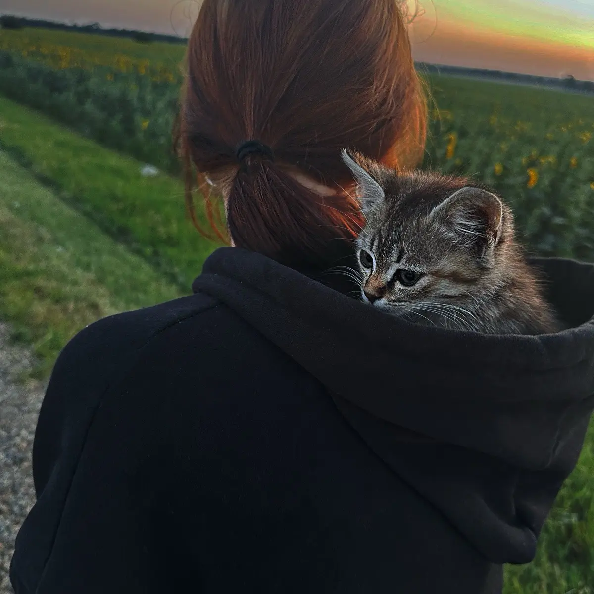 Анастасия Виноградова