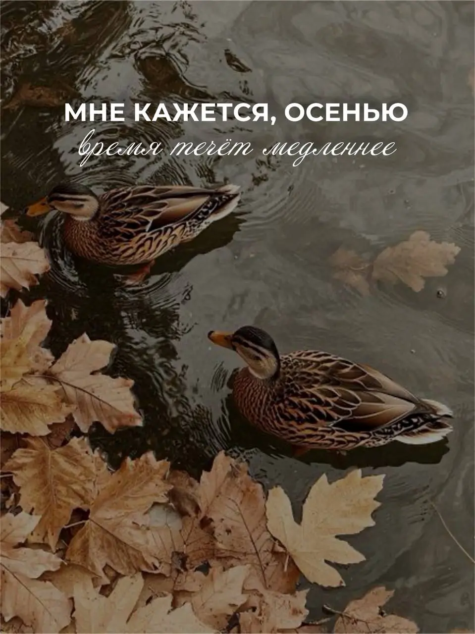 А вы как ощущаете осень?
Хорошего дня и уютной вам пятницы!❤️ | Сетка — социальная сеть от hh.ru