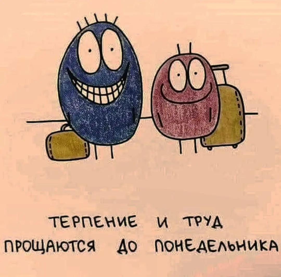 Удачного путешествия 😂😂
#Юмор@poldner | Сетка — социальная сеть от hh.ru