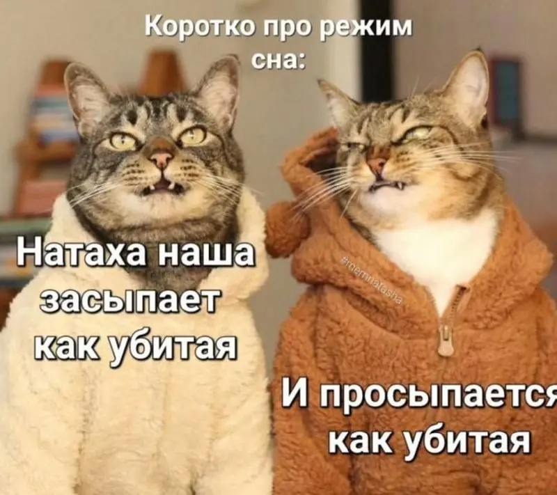 двойной эффект 😂
#Юмор@poldner #Коты@poldner | Сетка — социальная сеть от hh.ru