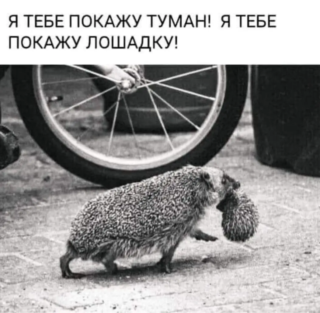 Идеальный Мелатонин | Сетка — социальная сеть от hh.ru