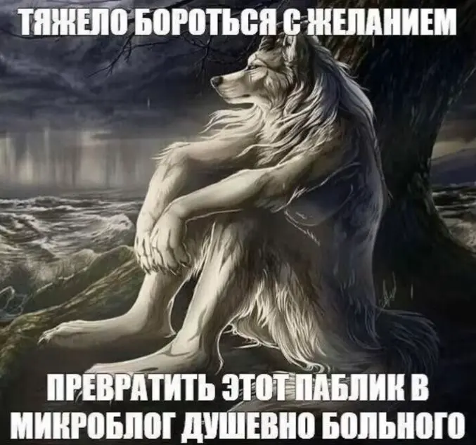 Микроблоги - новая волна коммуникаций | Сетка — социальная сеть от hh.ru