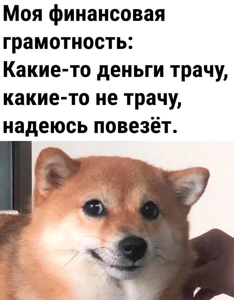 Сколько нас тут финансово грамотных? | Сетка — социальная сеть от hh.ru
