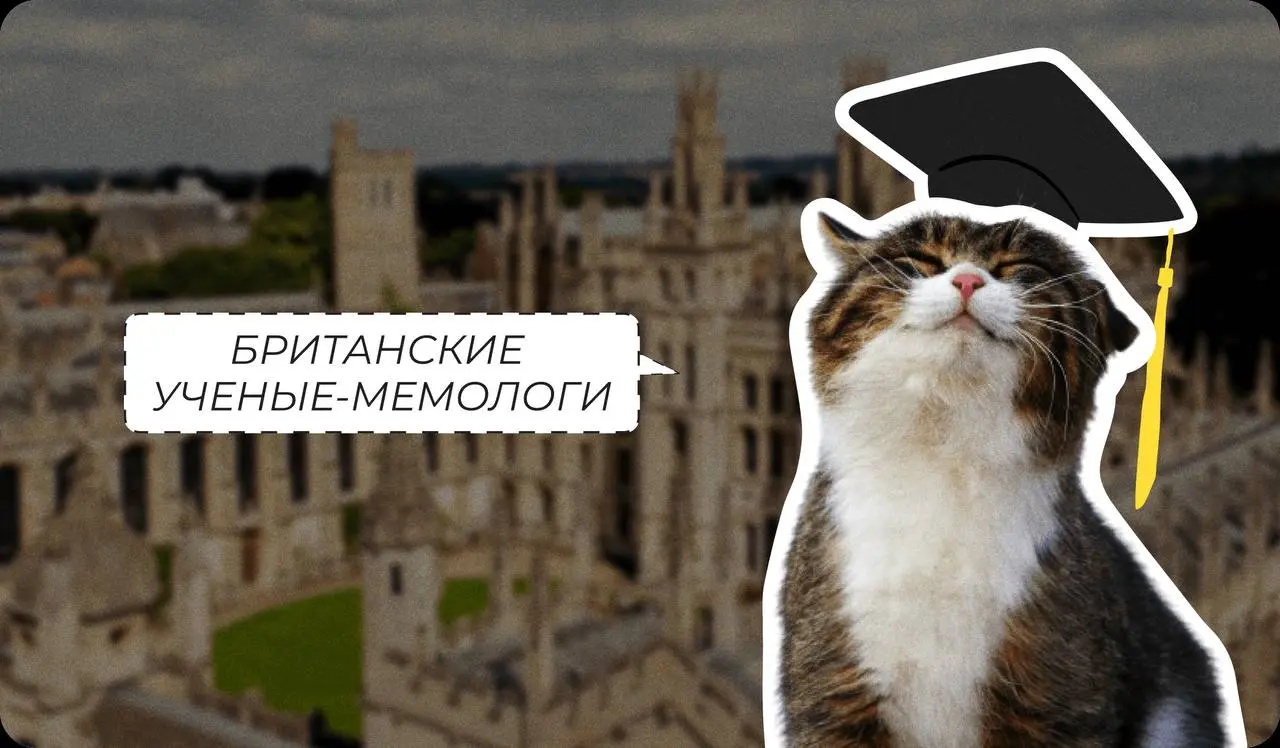 Мемная социализация
Когда ваш жизненный график супер плотный, мемы — это быстрый перерыв для мозга.
Работаете или ищете работу, в найме или фриланс, мемы помогают выдохнуть и улыбнуться | Сетка — социальная сеть от hh.ru