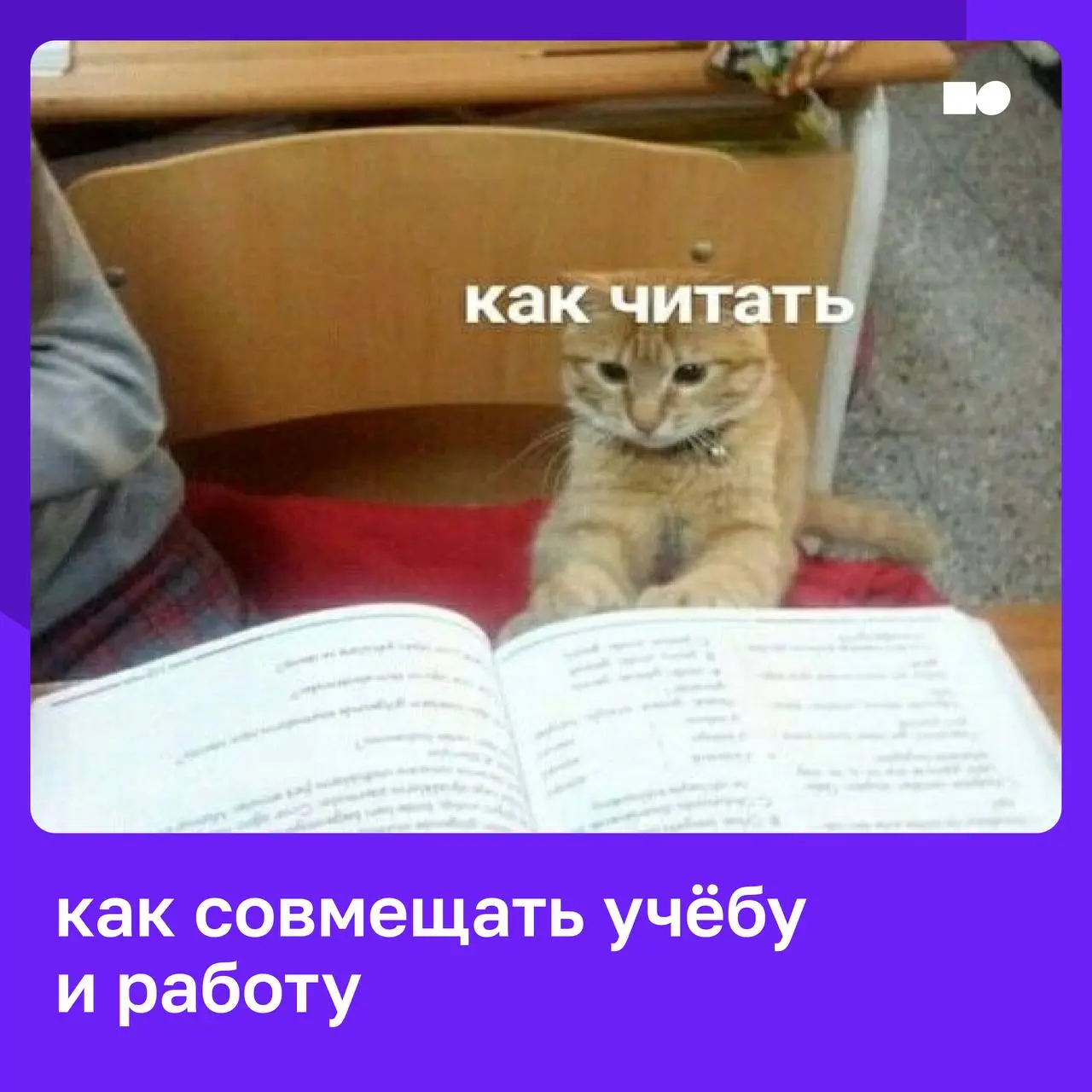 💚 Задают задания, на весну не глядя, отложу свидание, загляну в тетради: как находить силы на обучение после работы?
Мы все в детстве мечтали: вырастем — и никаких уроков, но жизнь внесла коррективы: ... | Сетка — социальная сеть от hh.ru