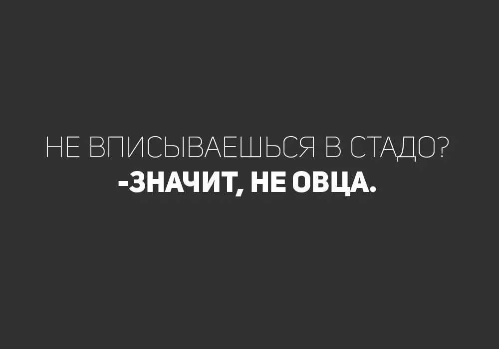Маркетолог, который знал продукт лучше его создателей | Сетка — социальная сеть от hh.ru