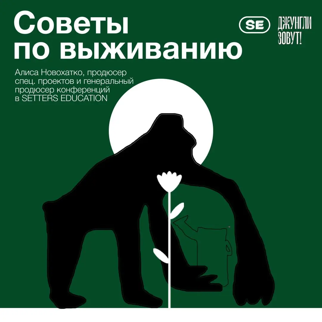 Пятница — не повод откладывать полезные материалы для работы! ⬅️
К нам в джунгли пришла Алиса Новохатко, продюсер спец | Сетка — социальная сеть от hh.ru