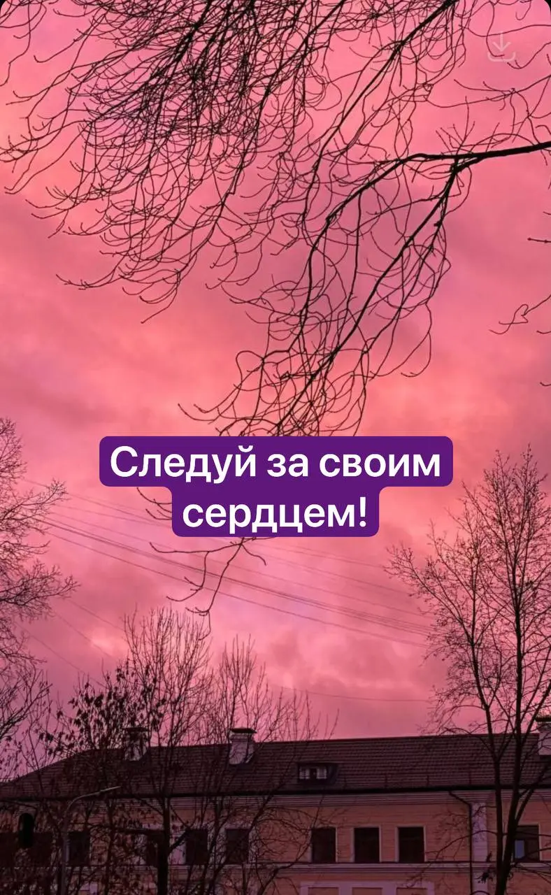Москвичи сегодня наблюдали потрясающий розовый рассвет, украсивший небо в мои любимые оттенки - от розово-фиалкого до сине-фиолетового | Сетка — социальная сеть от hh.ru