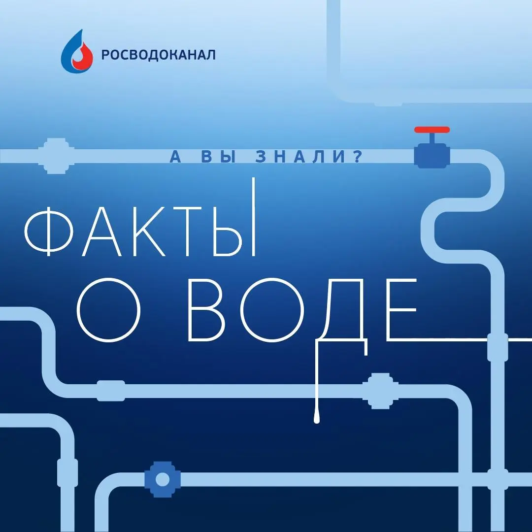 Знаете ли вы, что...
🔵Диаметр Земли 12,7 тыс. км. А теперь внимание: если вытянуть в одну линию все сети ГК "Росводоканал", то получится 24, 5 тыс. км | Сетка — социальная сеть от hh.ru