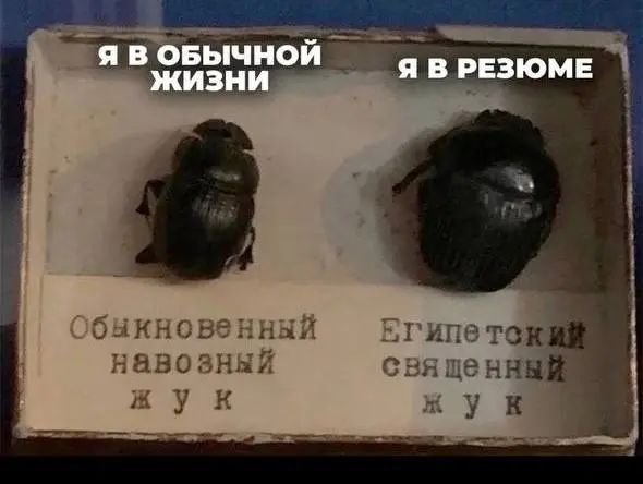 Когда попросил Гпт создать  "продающее резюме" | Сетка — социальная сеть от hh.ru