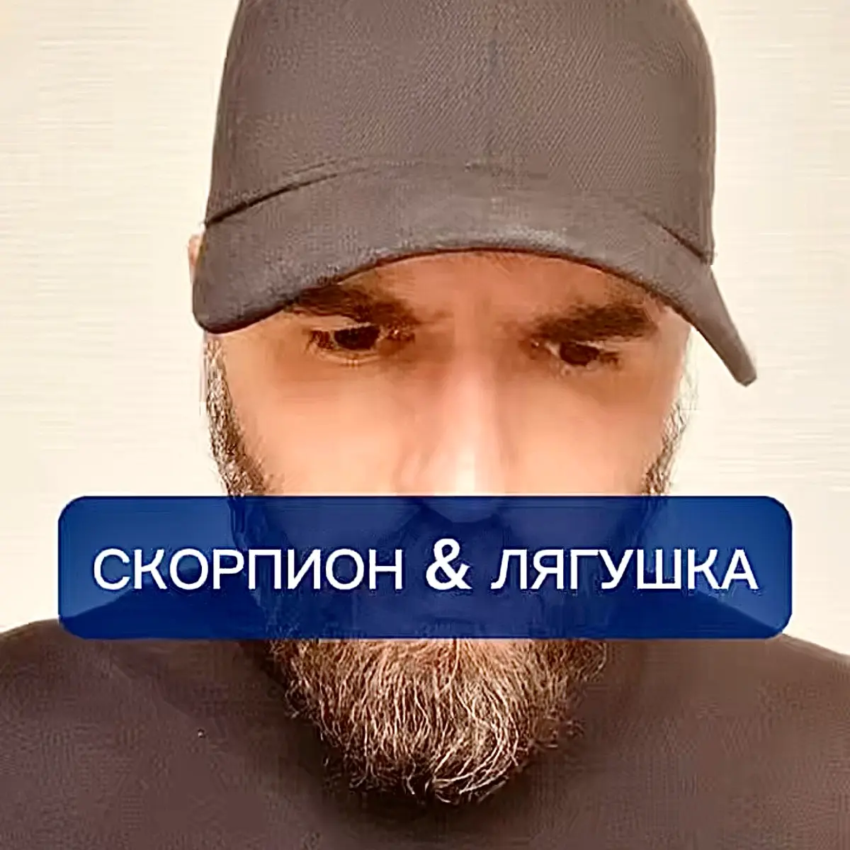 👆📺Какой тайный смысл скрыт в притче про скорпиона и лягушку? | Сетка — социальная сеть от hh.ru