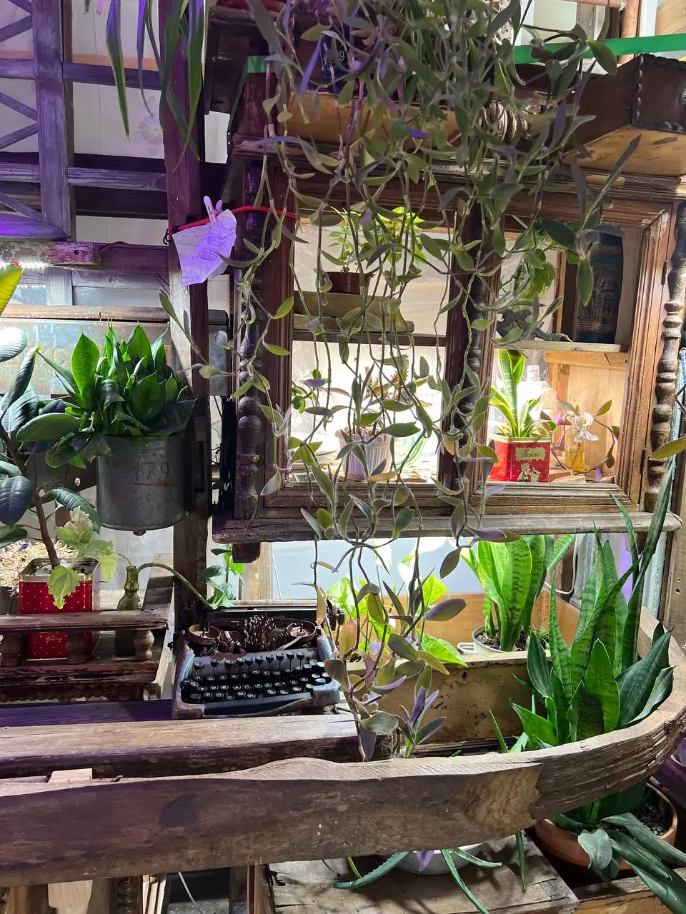 на самом деле мне показалось, что Самара супер серая, но есть одно место, которое меня заставило поверить, что город реально хорош!
филиал Третьяковки в Самаре 🏛
сейчас работают 2 выставки — «Музей Фа... | Сетка — социальная сеть от hh.ru