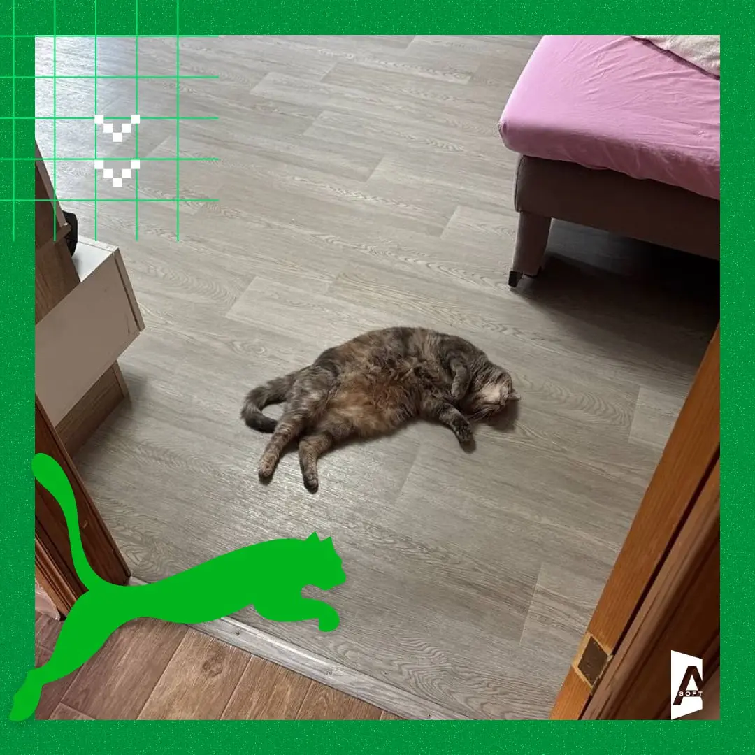 🐾 #Зверопятница возвращается: ваш персональный заряд умиления!
Сегодня мы радуем вас нашей традиционной рубрикой с милыми, смешными и немного странными питомцами наших сотрудников | Сетка — социальная сеть от hh.ru