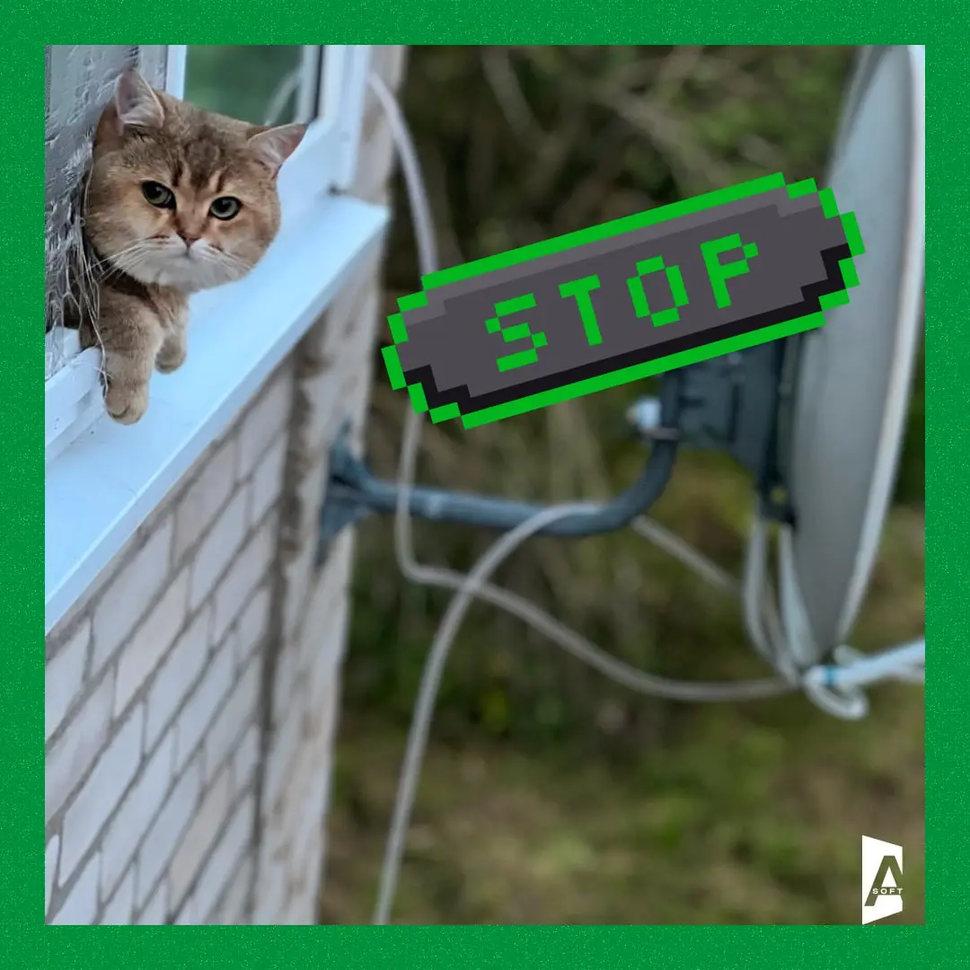 🐾 #Зверопятница возвращается: ваш персональный заряд умиления!
Сегодня мы радуем вас нашей традиционной рубрикой с милыми, смешными и немного странными питомцами наших сотрудников | Сетка — социальная сеть от hh.ru