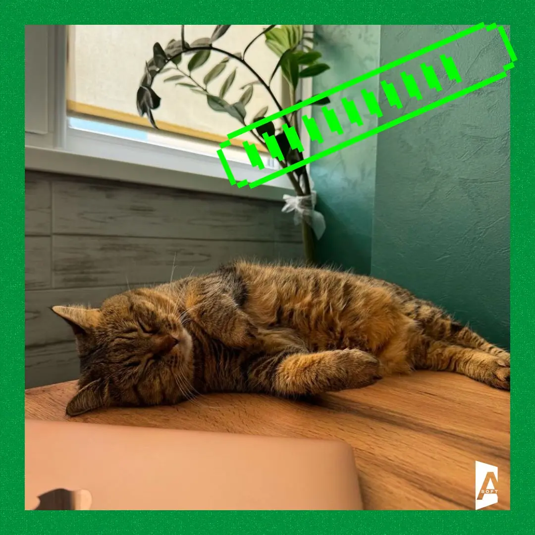 🐾 #Зверопятница возвращается: ваш персональный заряд умиления!
Сегодня мы радуем вас нашей традиционной рубрикой с милыми, смешными и немного странными питомцами наших сотрудников | Сетка — социальная сеть от hh.ru