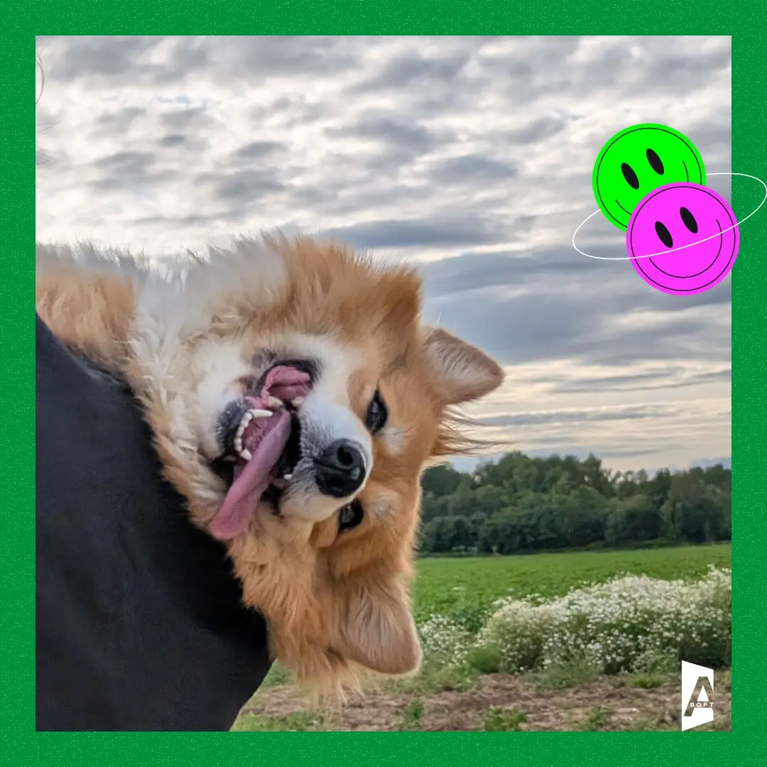 🐾 #Зверопятница возвращается: ваш персональный заряд умиления!
Сегодня мы радуем вас нашей традиционной рубрикой с милыми, смешными и немного странными питомцами наших сотрудников | Сетка — социальная сеть от hh.ru