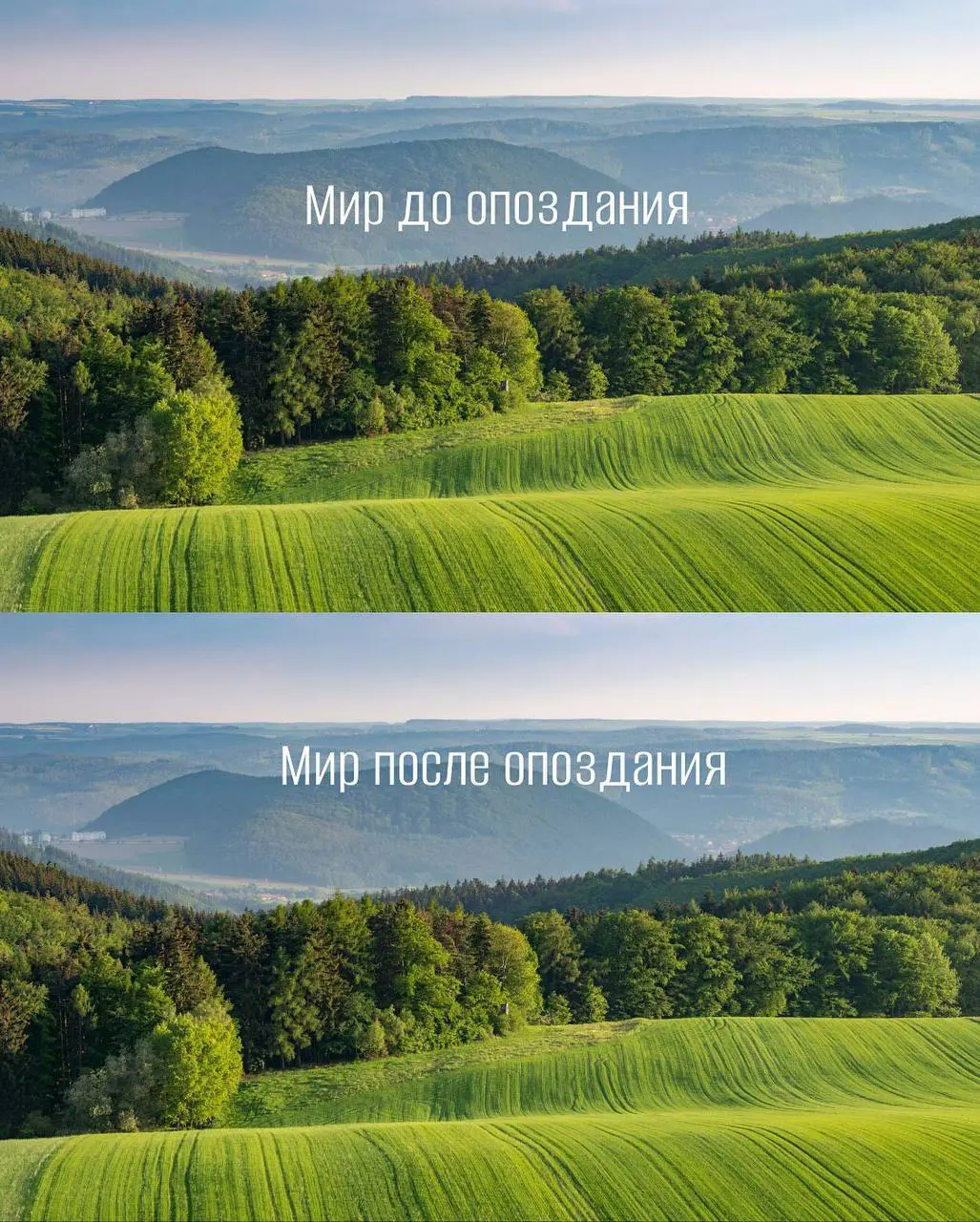 Осознай и прими это, как факт | Сетка — социальная сеть от hh.ru