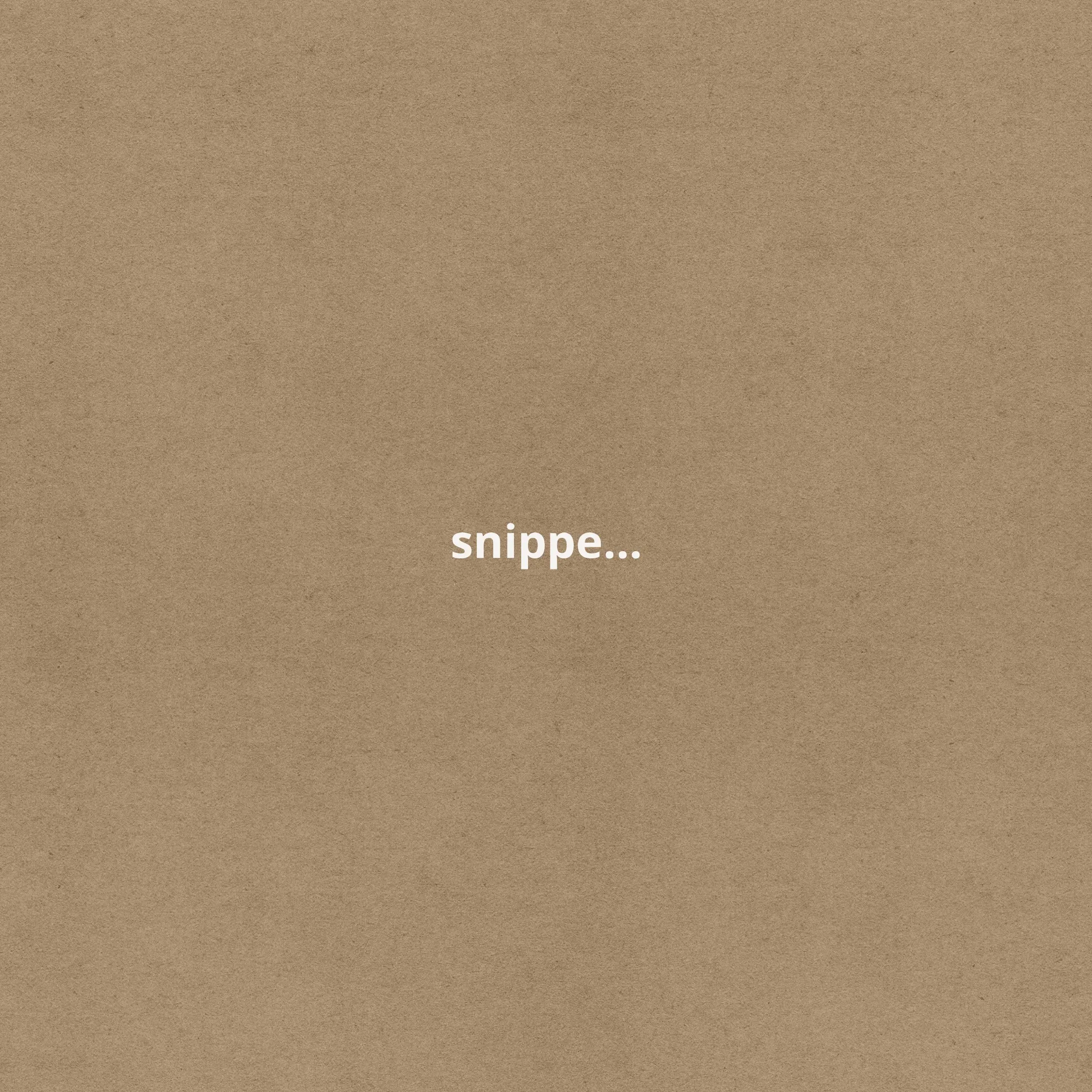 Snippetly – это ваш личный архив фрагментов кода. Этот инструмент идеально подходит для разработчиков, студентов и профессионалов | Сетка — социальная сеть от hh.ru