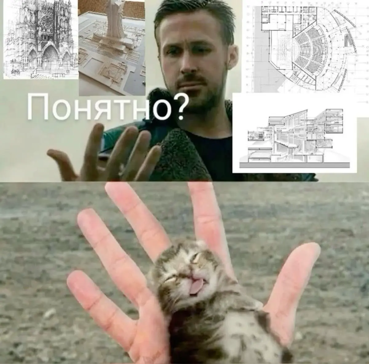 Что мне делать с этой работой? | Сетка — социальная сеть от hh.ru
